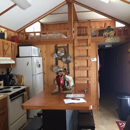 Maurepas Cozy Cabin On The Bayou מראה חיצוני תמונה