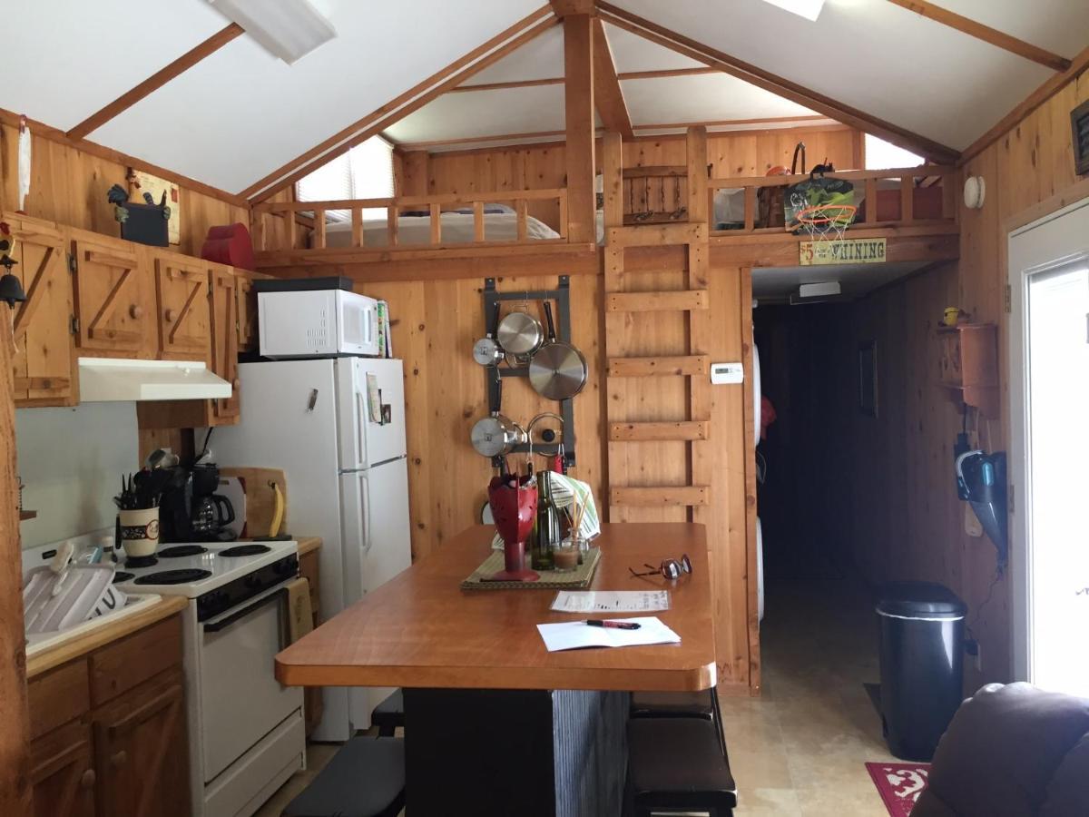 Maurepas Cozy Cabin On The Bayou מראה חיצוני תמונה